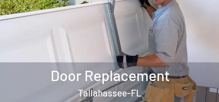 Door Replacement Tallahassee-FL
