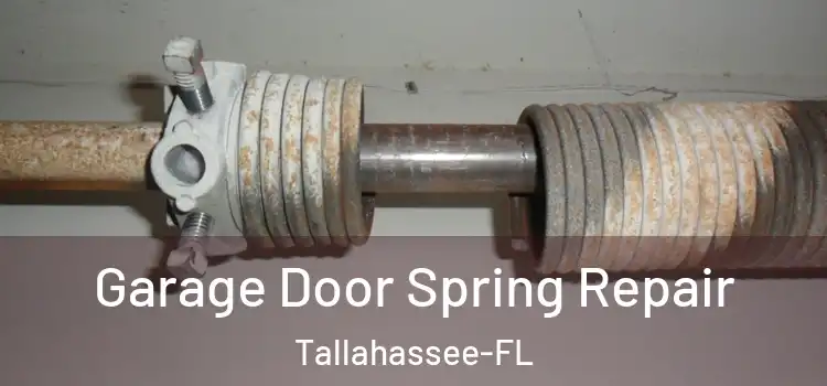 Garage Door Spring Repair Tallahassee-FL