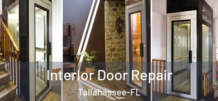 Interior Door Repair Tallahassee-FL