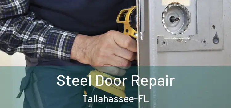  Steel Door Repair Tallahassee-FL